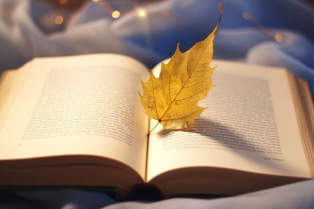 数据科学与大数据技术专业大学排名（统计学考研学校排名是怎样的？）