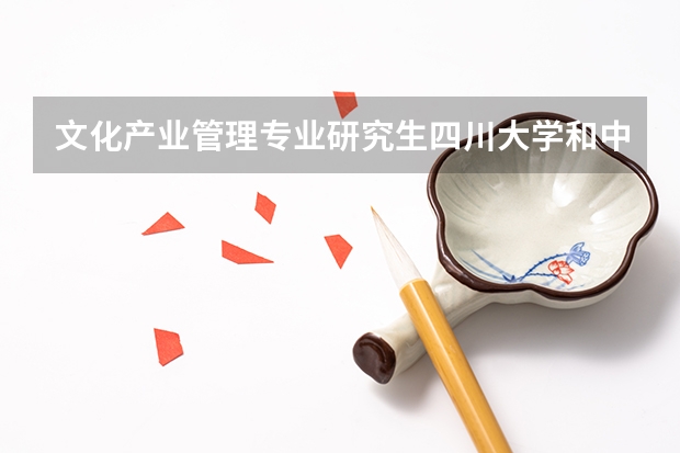 文化产业管理专业研究生四川大学和中传哪个好