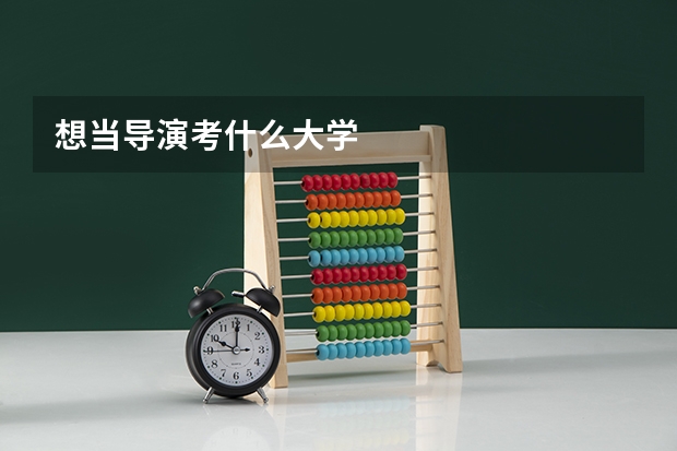 想当导演考什么大学