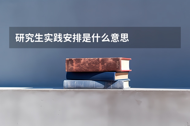 研究生实践安排是什么意思
