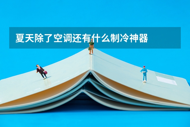 夏天除了空调还有什么制冷神器