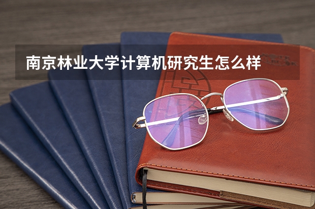 南京林业大学计算机研究生怎么样