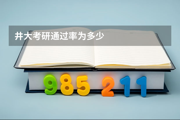 井大考研通过率为多少