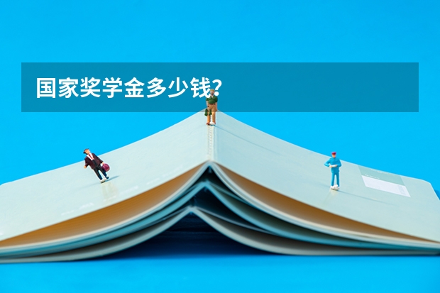 国家奖学金多少钱？