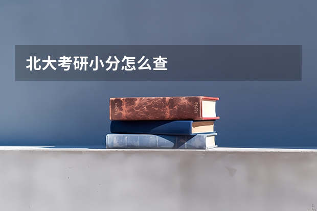 北大考研小分怎么查