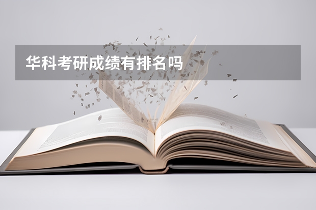 华科考研成绩有排名吗