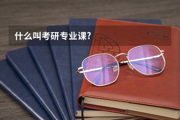 什么叫考研专业课?
