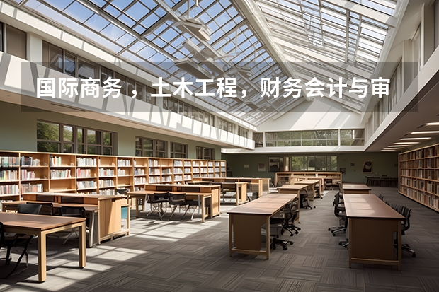 国际商务 ，土木工程，财务会计与审计哪个好？