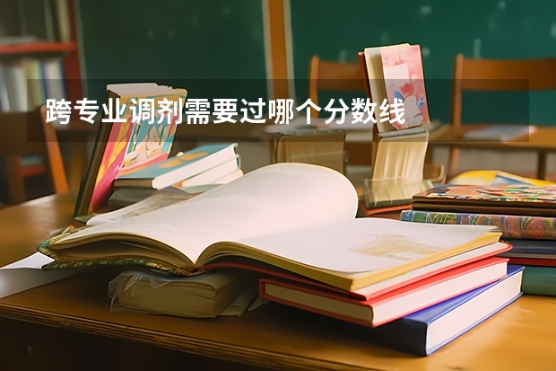 跨专业调剂需要过哪个分数线