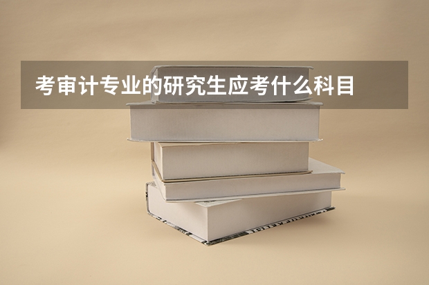 考审计专业的研究生应考什么科目
