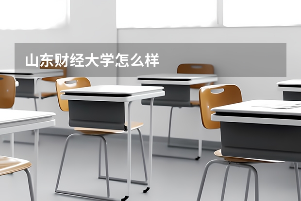山东财经大学怎么样
