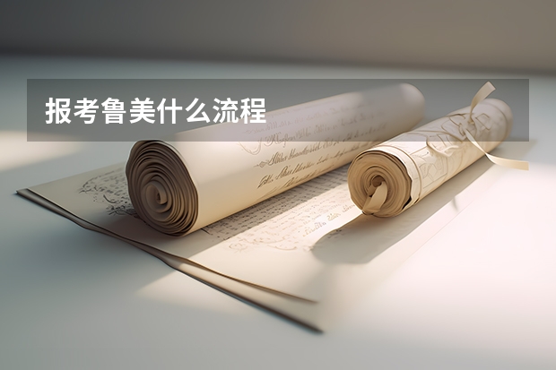 报考鲁美什么流程