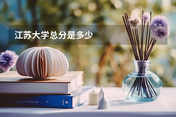 江苏大学总分是多少