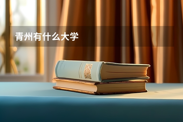 青州有什么大学