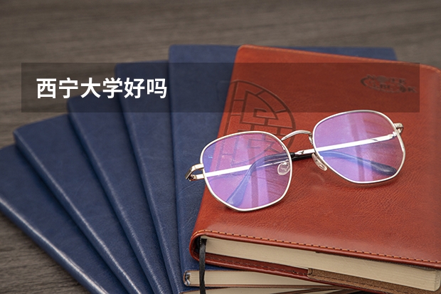 西宁大学好吗