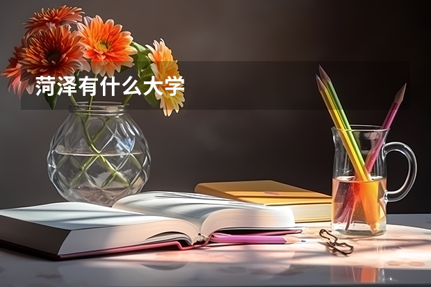 菏泽有什么大学