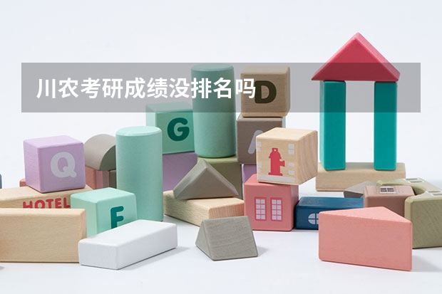 川农考研成绩没排名吗