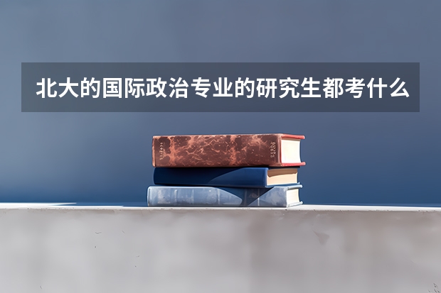 北大的国际政治专业的研究生都考什么课