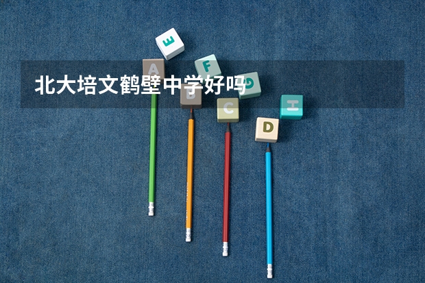 北大培文鹤壁中学好吗