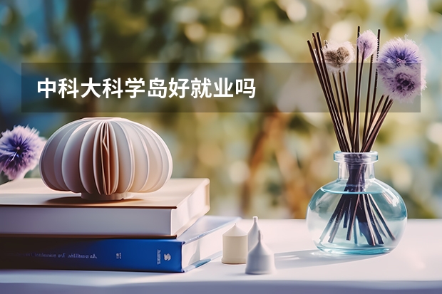 中科大科学岛好就业吗