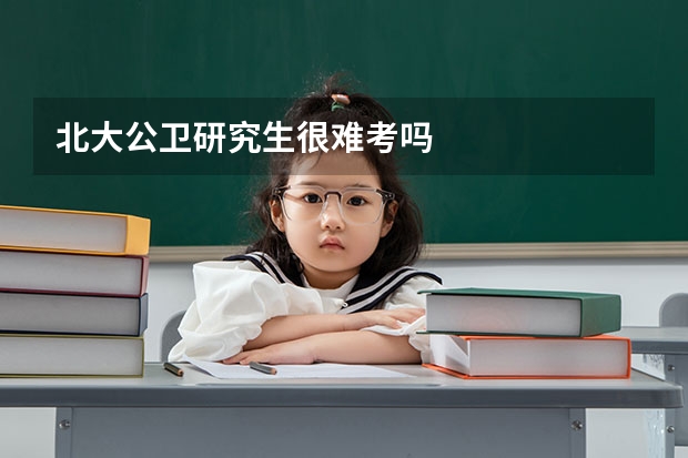 北大公卫研究生很难考吗