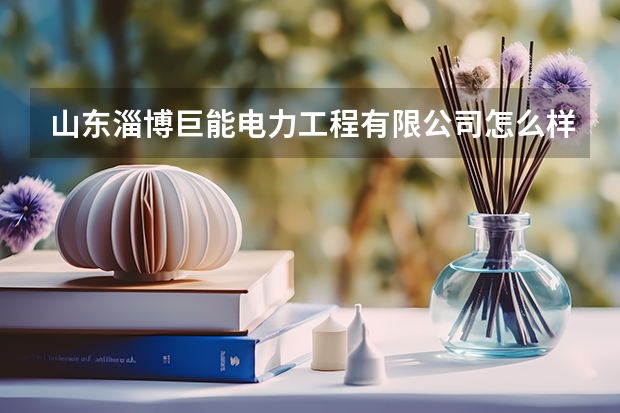 山东淄博巨能电力工程有限公司怎么样？
