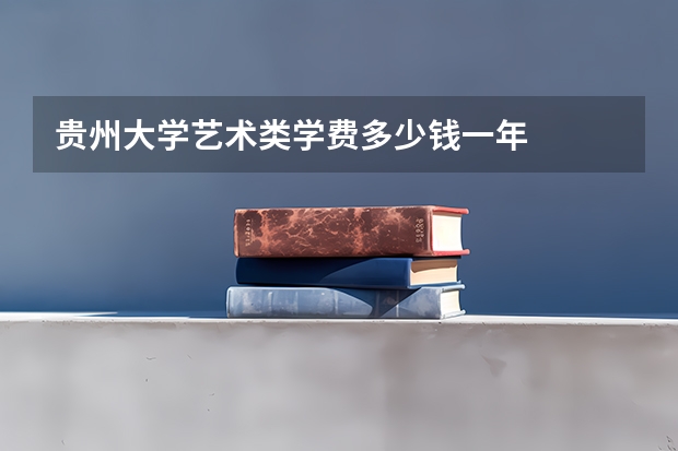 贵州大学艺术类学费多少钱一年