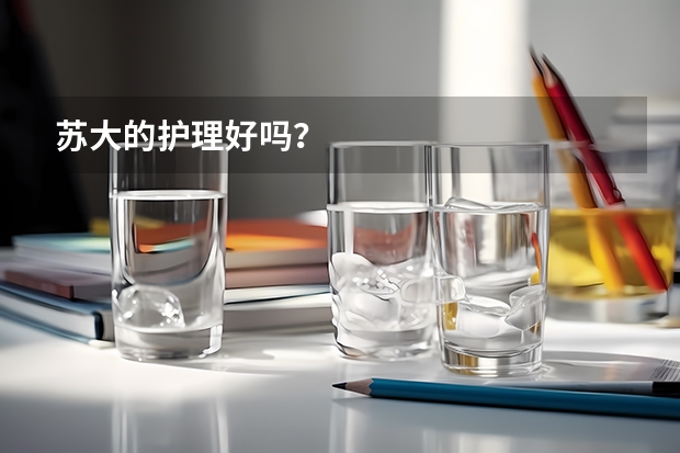 苏大的护理好吗？
