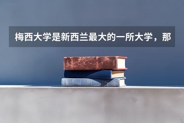 梅西大学是新西兰最大的一所大学，那么它的会计和金融硕士专业怎么样？