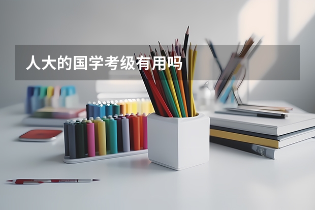 人大的国学考级有用吗
