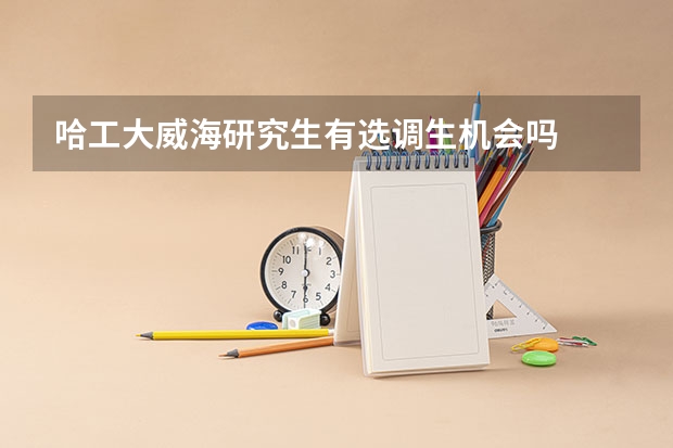 哈工大威海研究生有选调生机会吗